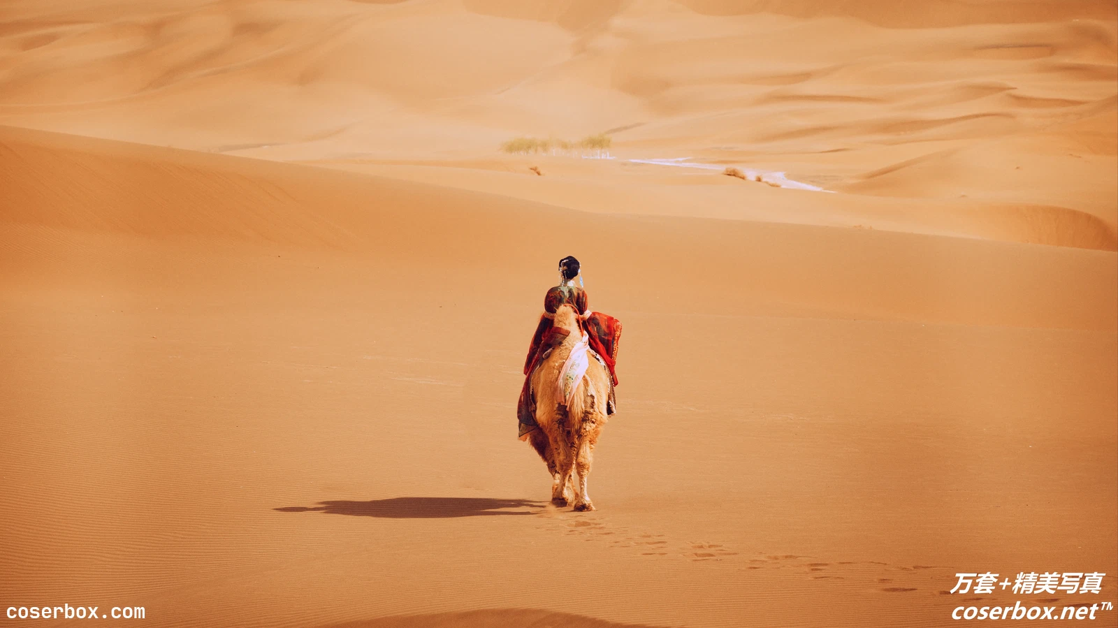 [YITUYU艺图语] 2021.09.10 NO.265 大唐西域记 兔小白 [25P-471MB]