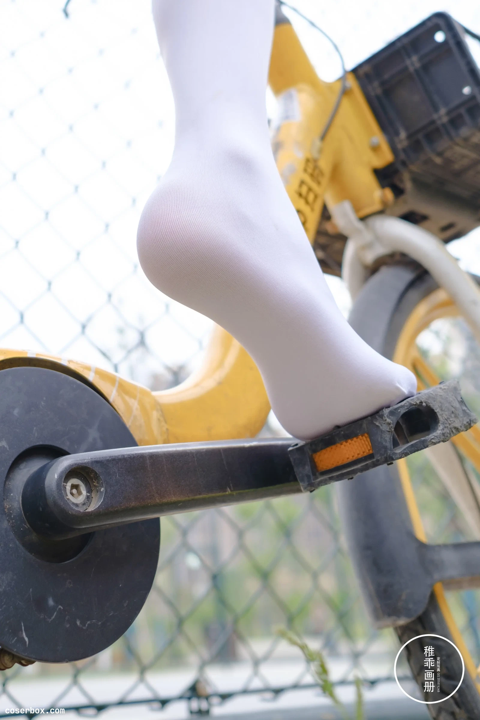 赤西夜夜2024.11.29 稚乖画册 单车郊游