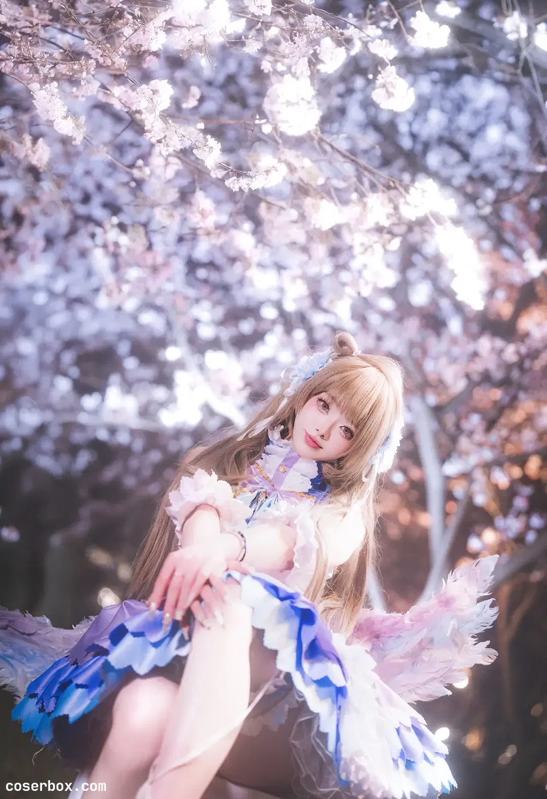 前野太太 2025.08.11 南小鸟