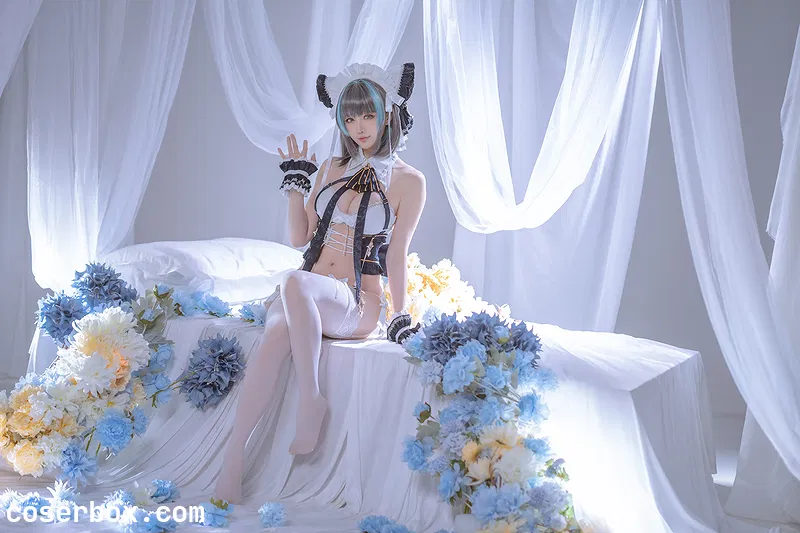 星之迟迟 2026.02.01 25年8月计划D 碧蓝航线 柴郡